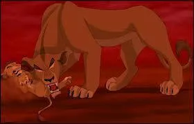 Pourquoi Zira l'a tu ?