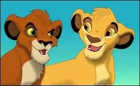 Qui sont ces deux Lions ?