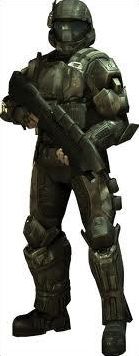 Quiz Halo