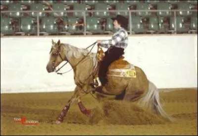 Quel cheval est un excellent cheval de btail ?