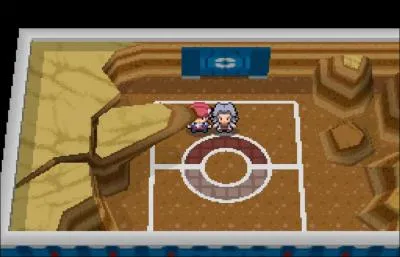 Quel est ce conseil ?