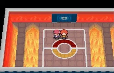 Quel est ce conseil ?