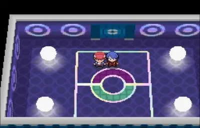 Quel est ce conseil ?