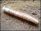 Quel est ce coquillage ?