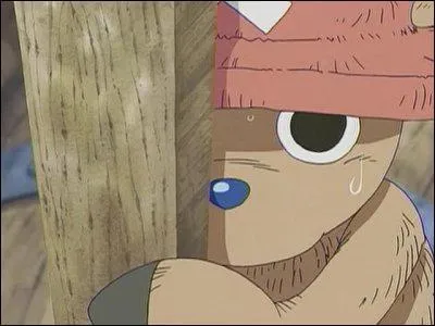 Comment s'appelle le fruit du dmon de Chopper ?