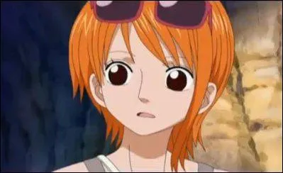 Quelle est la ville Natale de Nami ?