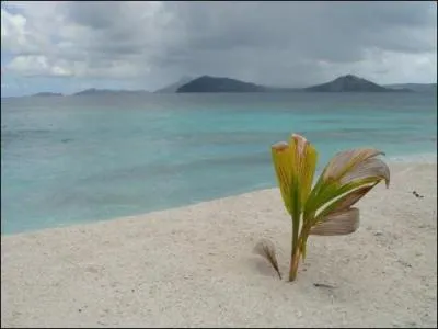 Est-il vrai qu'il habite sur le port, a-t-il toujours sur lui ma chane en or, sur les photos il semble avoir chang, et il parait triste et fatigu...