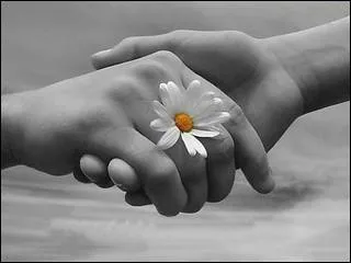 La tendresse, c'est quand on peut se sparer sans se maudire, sans rien casser, sans rien dtruire...