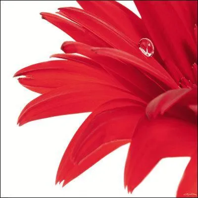 Quelle est la signification de l'expression 'Etre dans le rouge' ?