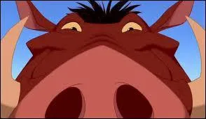 Qui est ce personnage ?