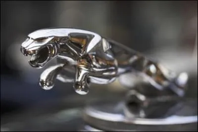 Quelle marque reprsente ce logo ?