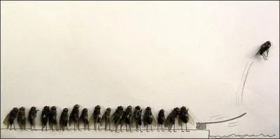 Qu'attendent ces mouches ?