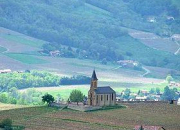 Quiz Le beaujolais