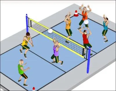 Qu'est-ce qui distingue le volley-ball des autres sports ?
