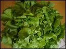 Quelle est cette variet de salade ?