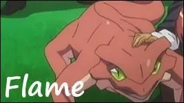 A qui appartient cette salamandre nomme flamme ?