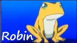 A qui appartient cette grenouille nomme Rodin ?