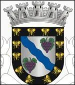 Municipalit portugaise, situe dans la rgion nord, district de Porto. L'origine du nom vient du mot fougre. Quelle est-elle ?