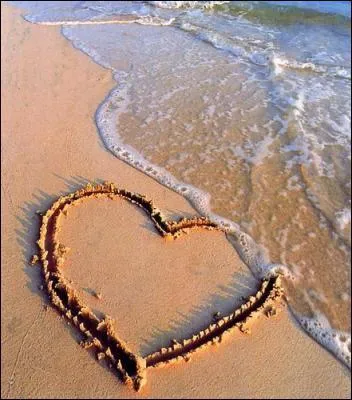 Quel est ce groupe des annes 80 compos de Muriel Moreno et Daniel Chavanez qui chantait 'L'amour  la plage' ?