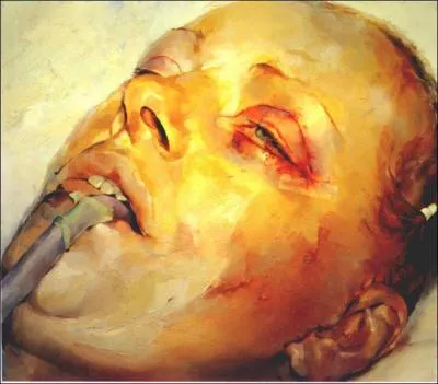 Qui a peint cette toile ?