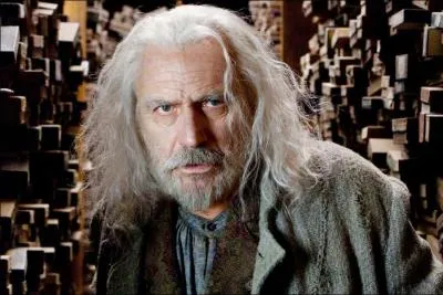 Qui est ce vendeur de baguettes magiques ?