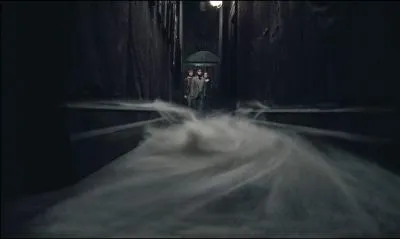 Par quoi Harry, Ron et Hermione sont-ils accueillis lorsqu'ils entrent dans cette demeure ?