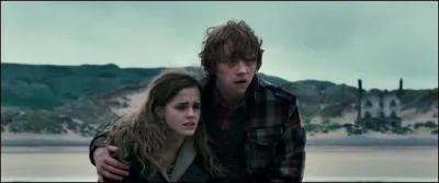 Dans quel lieu se situent Ron et Hermione ?