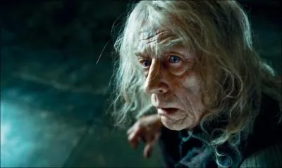 Quel fabricant de baguettes est enferm dans la cave des Malefoy ?