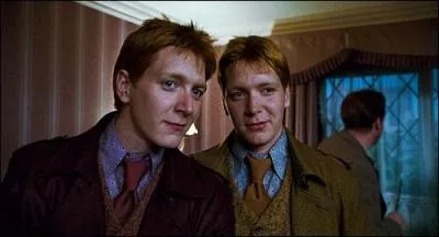 Lequel des deux jumeaux Weasley va avoir l'oreille coupe suite  un affrontement en plein-air avec des mangemorts ?