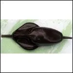 Comment appelle-t-on ce plomb de pche  la carpe ?