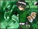 Quel est le surnom de Rock Lee ?