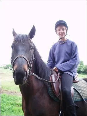 Quelle est la couleur de robe de ce cheval ?