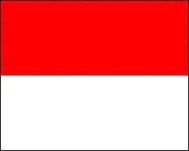 A quel pays appartient ce drapeau ?