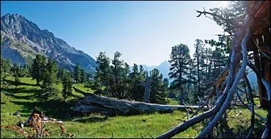 Cr en 1914 ce parc a une superficie de 172 km. Dans les Grisons c'est le seul parc national :