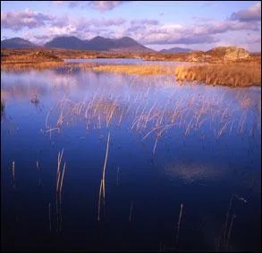 Dans ce parc de 2000 hectares, lacs, tourbires et landes composent le paysage. Le parc national du Connemara se trouve en :