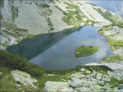 Le parc national Retezat est le plus grand parc naturel de Roumanie. Dans quel massif montagneux est-il situ ?