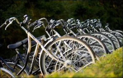 Aux Pays-Bas le parc national Drents-Friese Wold couvre 6100 hectares de bois, de landes et de terrains sablonneux. Ce parc se visite principalement :