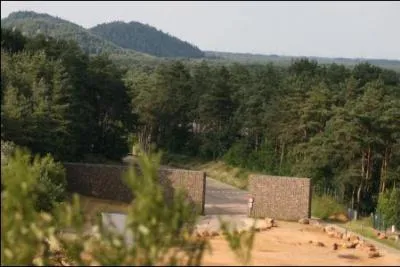 Le parc national de la Haute Campine est le 1er parc national de la rgion Flamande. Forts de pins, bruyres et grands tangs le parsment. Il est :