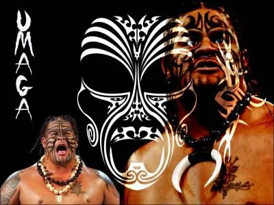 Quelle est sa prise de finition ?