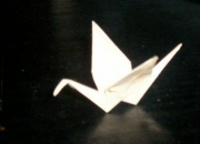 Quiz Origami : les pliages