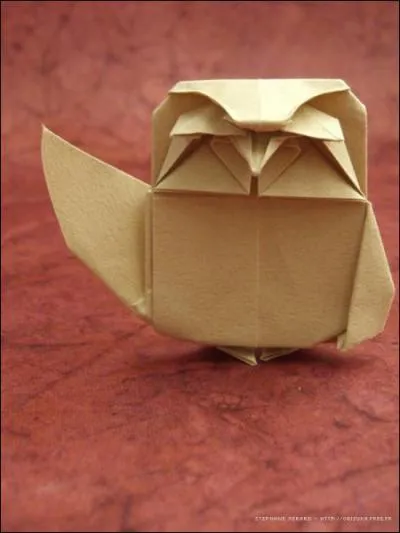 Quel est cet origami ?
