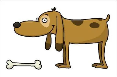 Quel est le bon article ?