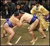 Sumotori est le nom français donné aux lutteurs de sumo Quel nom leur donne-t-on au Japon ?