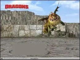 Quel est ce dragon ?
