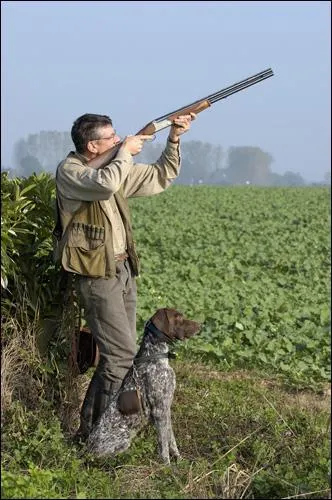 Quel chien ce chasseur ne peut il pas emmener avec lui ?