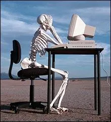 De combien d'os est compos cet informaticien ?