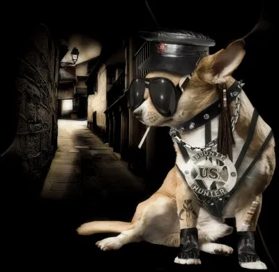 Qui tuait un chasseur dans la chanson de Chantal Goya ?