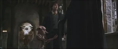(HP2) Que glisse Harry dans le journal de Tom Jedusor destin  Dobby ?