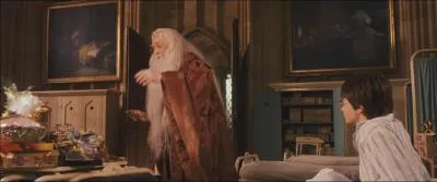 (HP1) Quel est le got des drages surprise que prend Albus Dumbledore  Harry  la fin du film ?