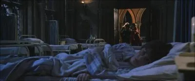 (HP2) Qui est le premier lve touch aprs la chatte de rusard par le basilic ?